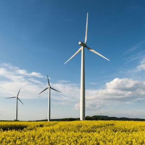 Maintenance préventive mécanique sur parc éolien